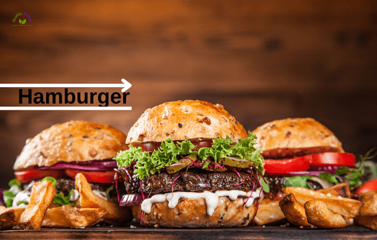 popular Humburger food in USA