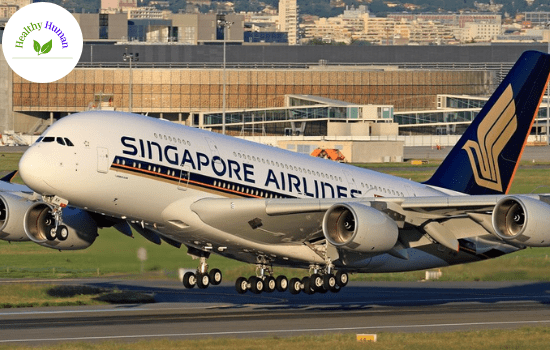 Singapore International Airlines