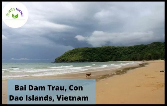 Bai Dam Trau, Con Dao Islands, Vietnam Most beautiful beaches in the world
