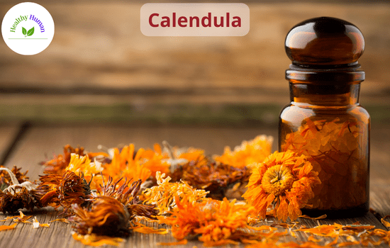 calendula as a remedy