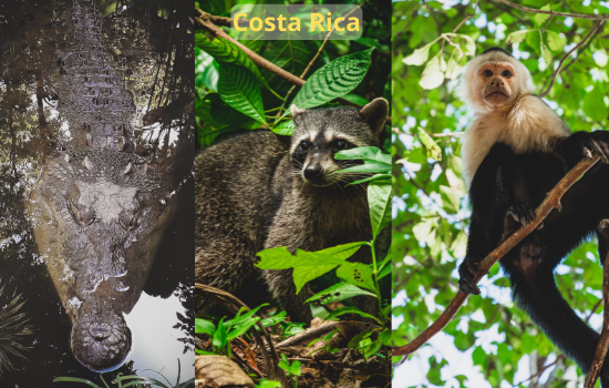 Costa Rica travel destination