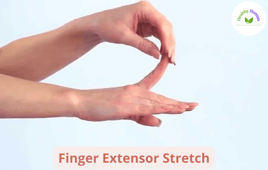 Extensor Finger stretch