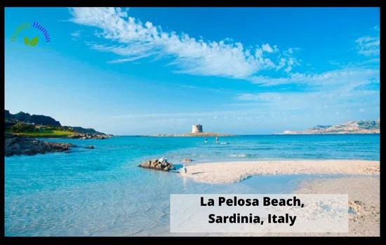 La Pelosa Beach, Sardinia, Italy Most beautiful beaches in the world