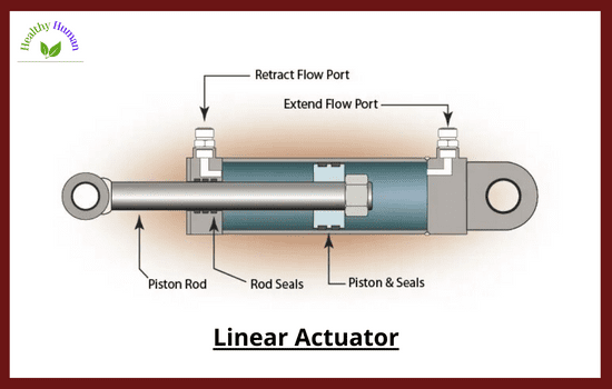 LinearActuators_Healthylifehuman