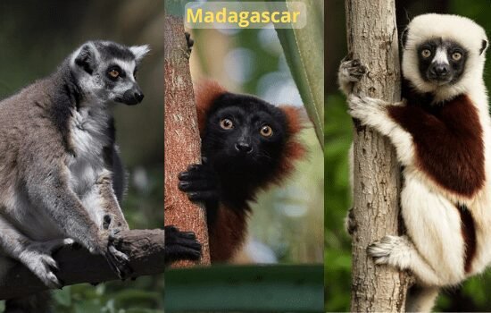 Madagascar travel destination