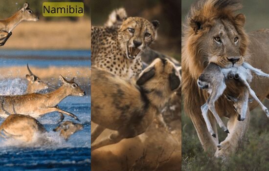 Namibia travel destination