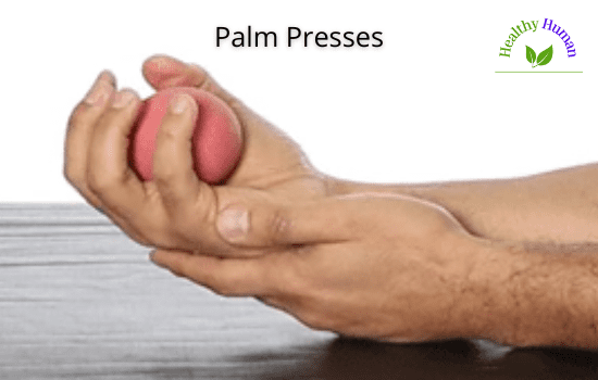 Palm Presses