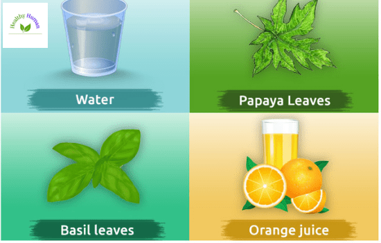 Home remedies for dengue fever