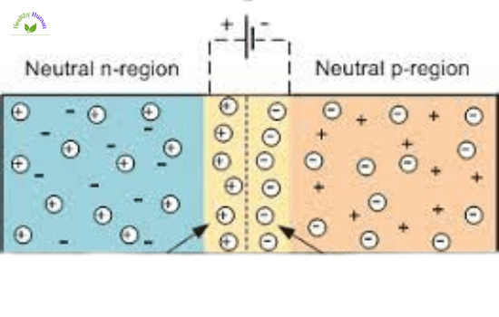 p type n type semiconductor