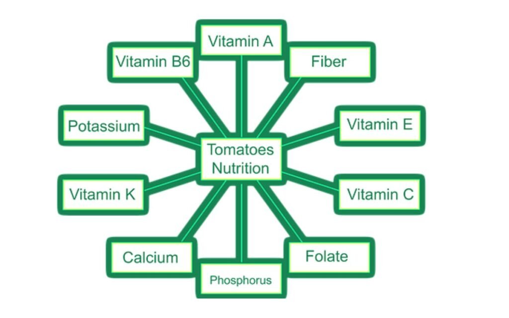 tomatoes nutrition