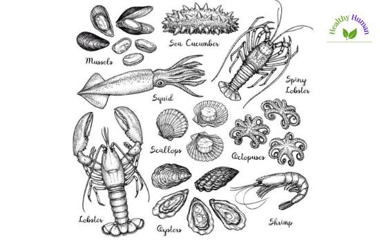 types of seafood