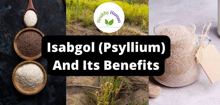 Isabgol (Psyllium) and its benefits