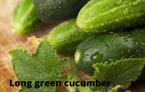 Long green cucumber vs zucchini  
