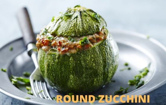 Round zucchini vs cucumber differences  