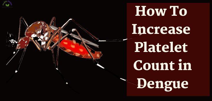 how to increase platelet count in dengue