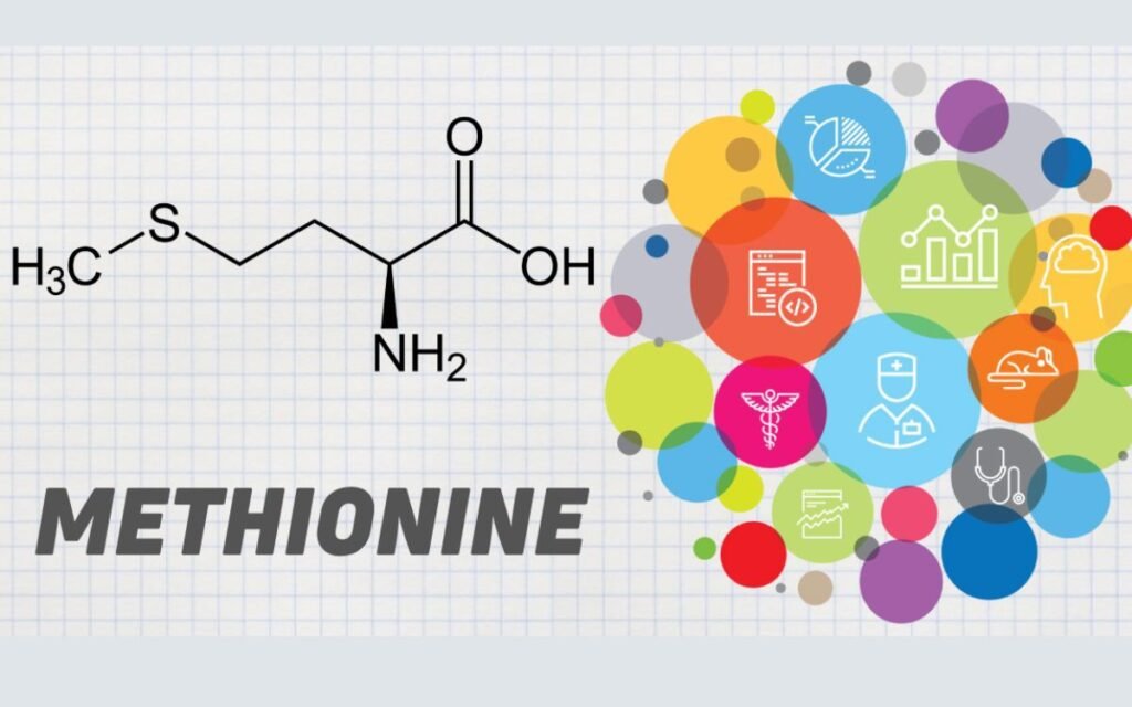 Benefits of methionine