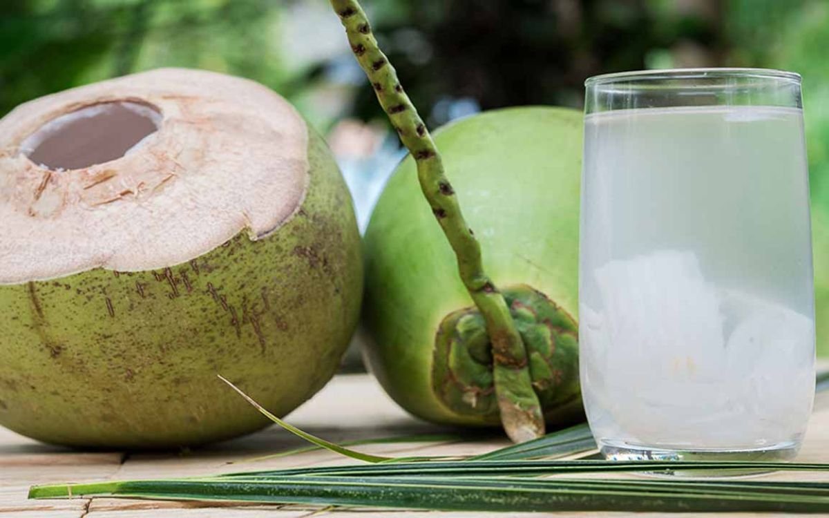 How to Increase Platelet Count in Dengue