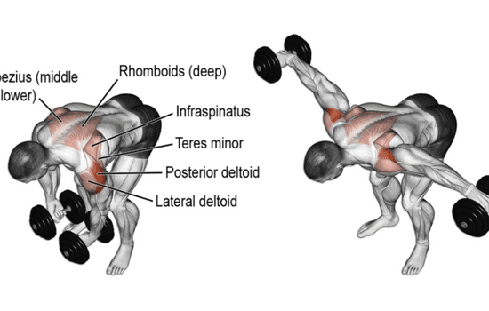 Dumbbell reverse fly