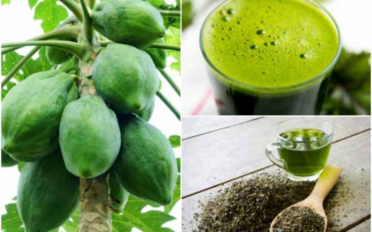 How to Increase Platelet Count in Dengue