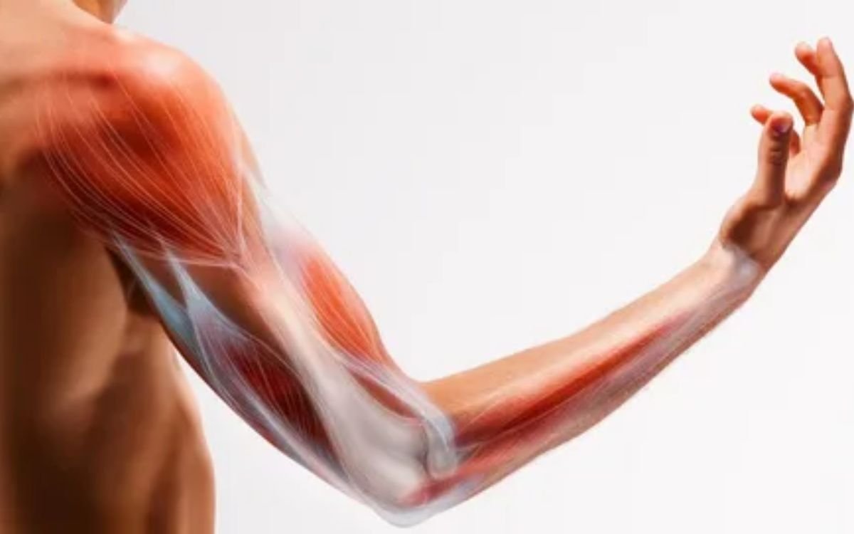 Neck Pain Exercises And Treatment neck-pain-exercises-and-treatment