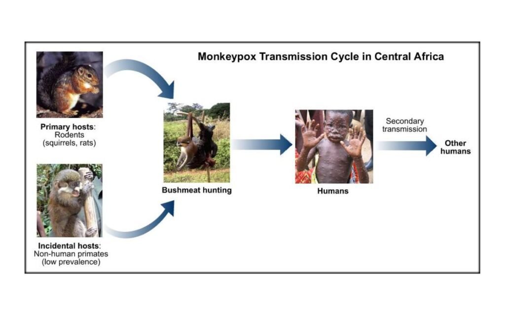 The Transmission Method of Monkeypox