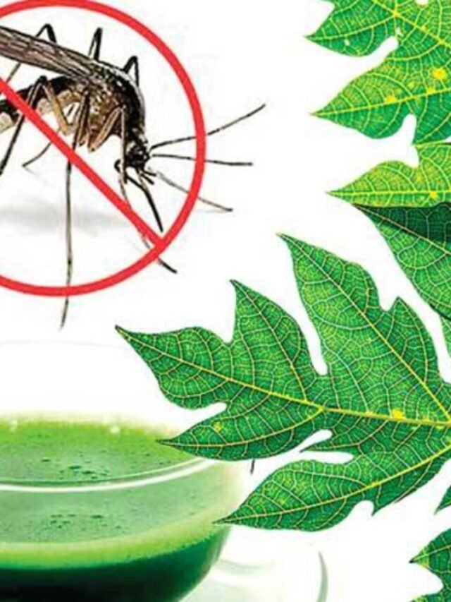 Natural Treatments for Dengue Fever