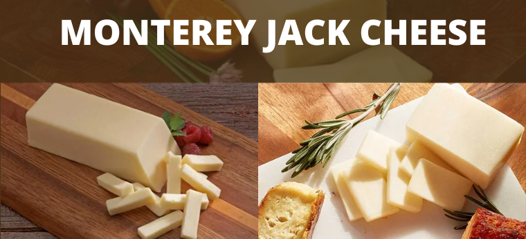 monterey jack cheese