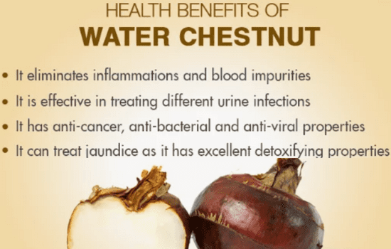 water chestnut benefits