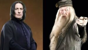 Relationship between snape and Dumbledore