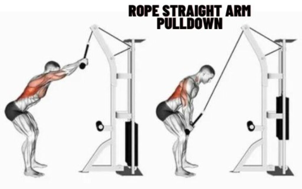 Straight Arm Pulldown All You Need To Know