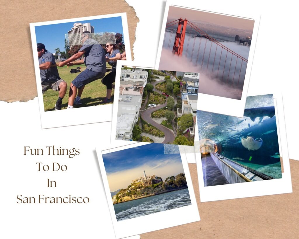 Fun-Things-To-Do-In-San-Francisco