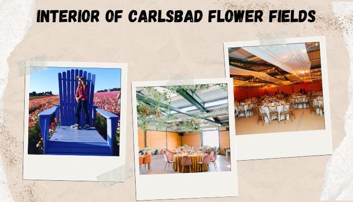 Interior Of Carlsbad Flower Fields