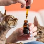 Is Peppermint Oil Safe For Cats?