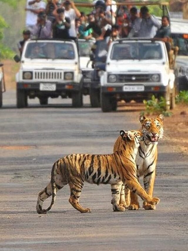 Unknown Facts You Should Know About Jim Corbett