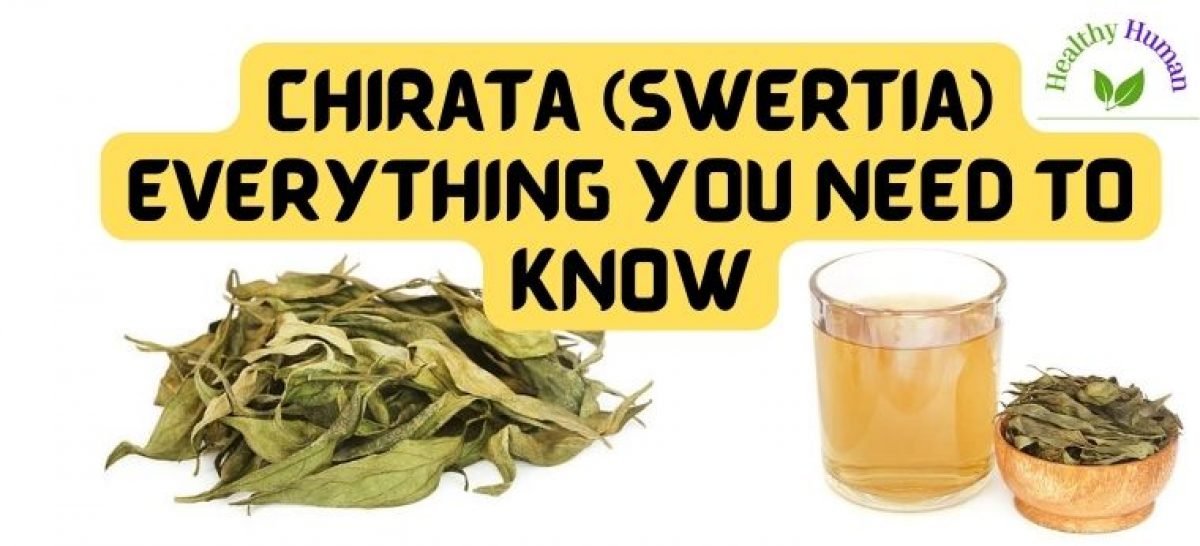 Chirata (Swertia) everything you need to know