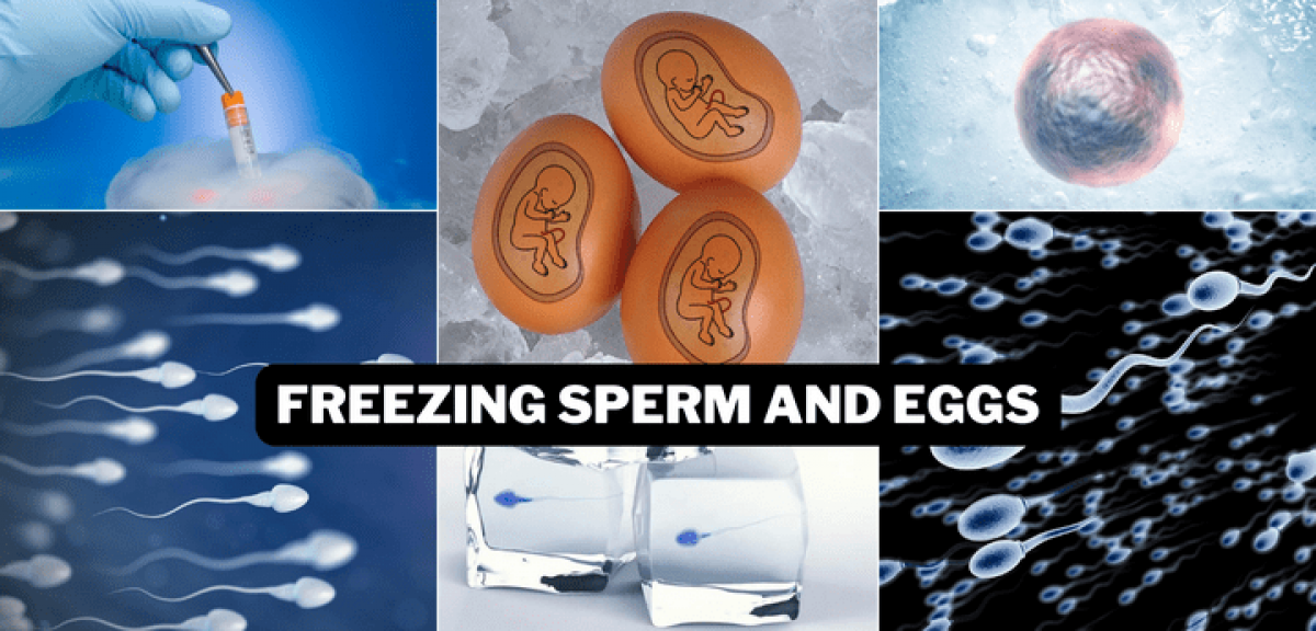 Cryopreservation of Eggs and sperm.