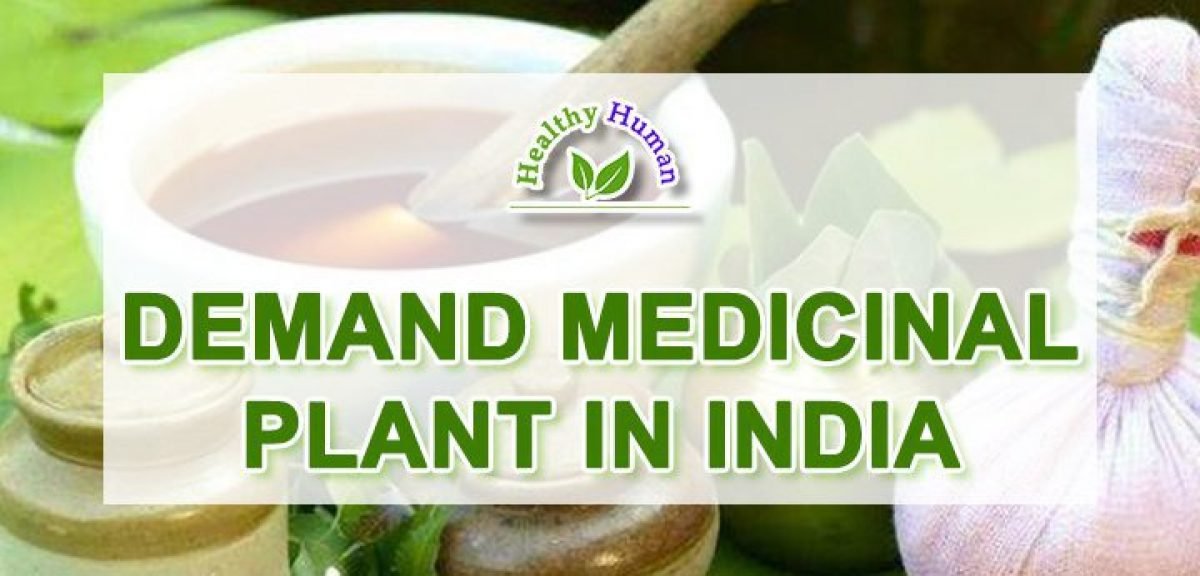 Demand Medicinal Plant in India