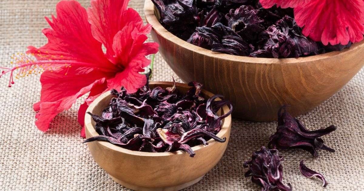 Hibiscus For Hair