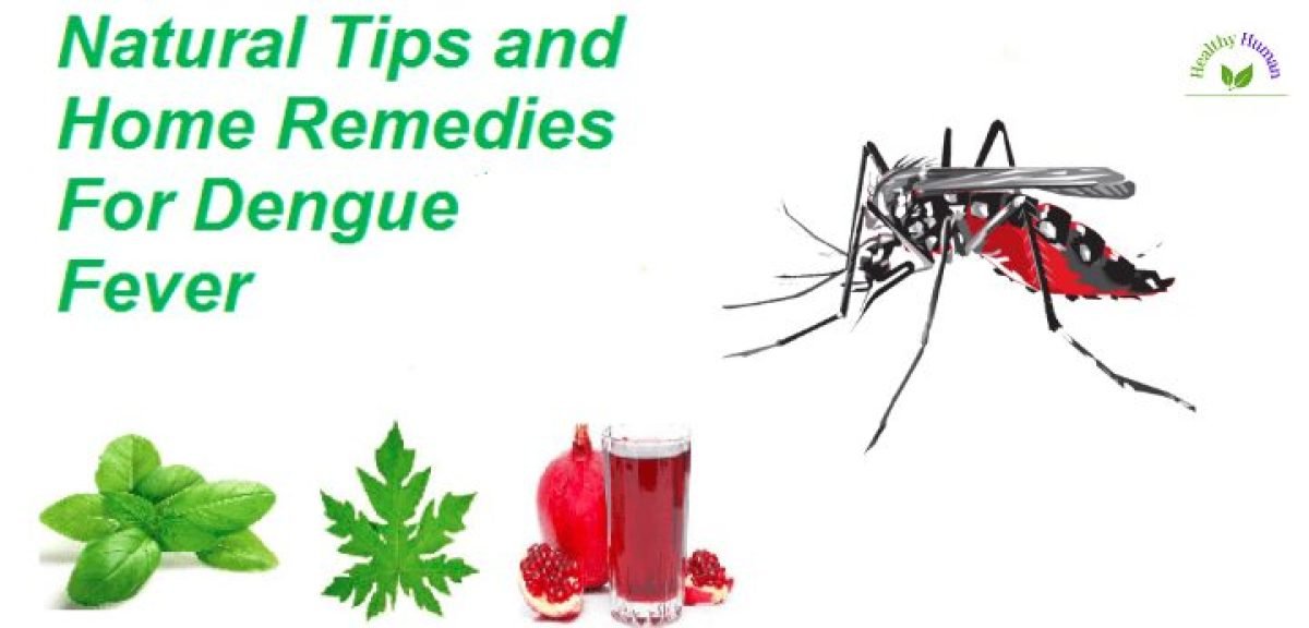 Home Remedies for Treating Dengue Fever (3)