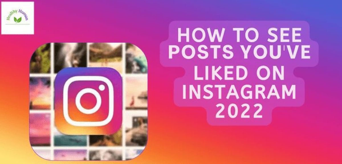 How to See Posts You've Liked on Instagram 2022