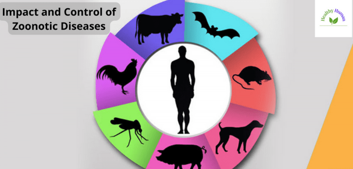 Impact And Control Of Zoonotic Diseases On Humans | Healthy Life Human