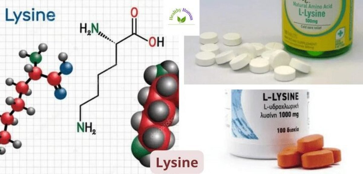 Lysine uses