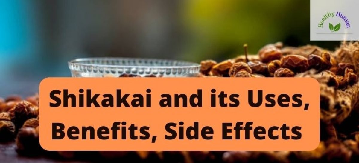 Shikakai and its Uses and benefits