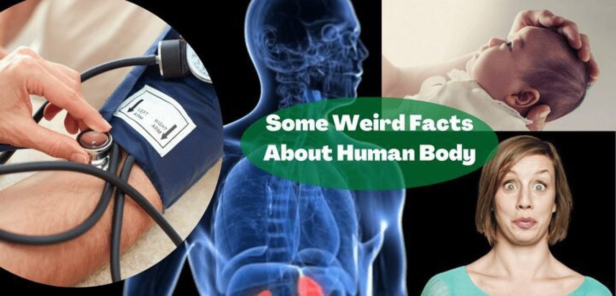 Some weird fact about human body