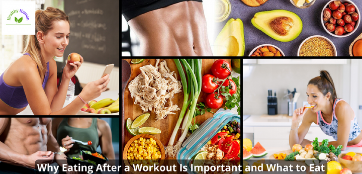 Importance of eating after a workout and importance