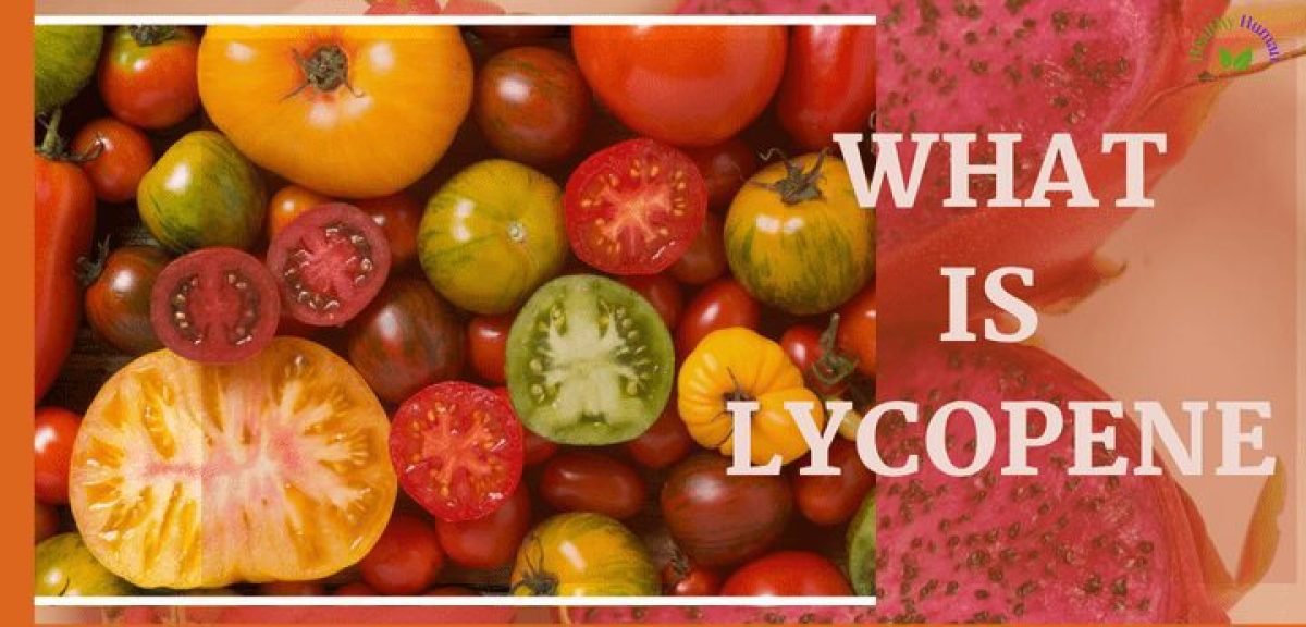 What is lycopene
